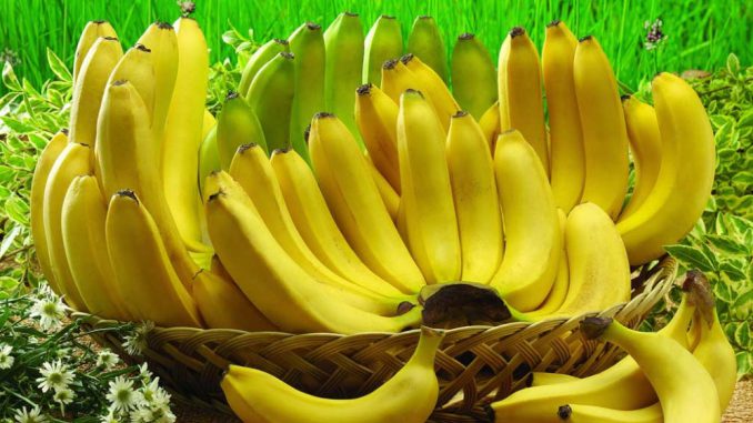 Банан. Полезные и вредные свойства